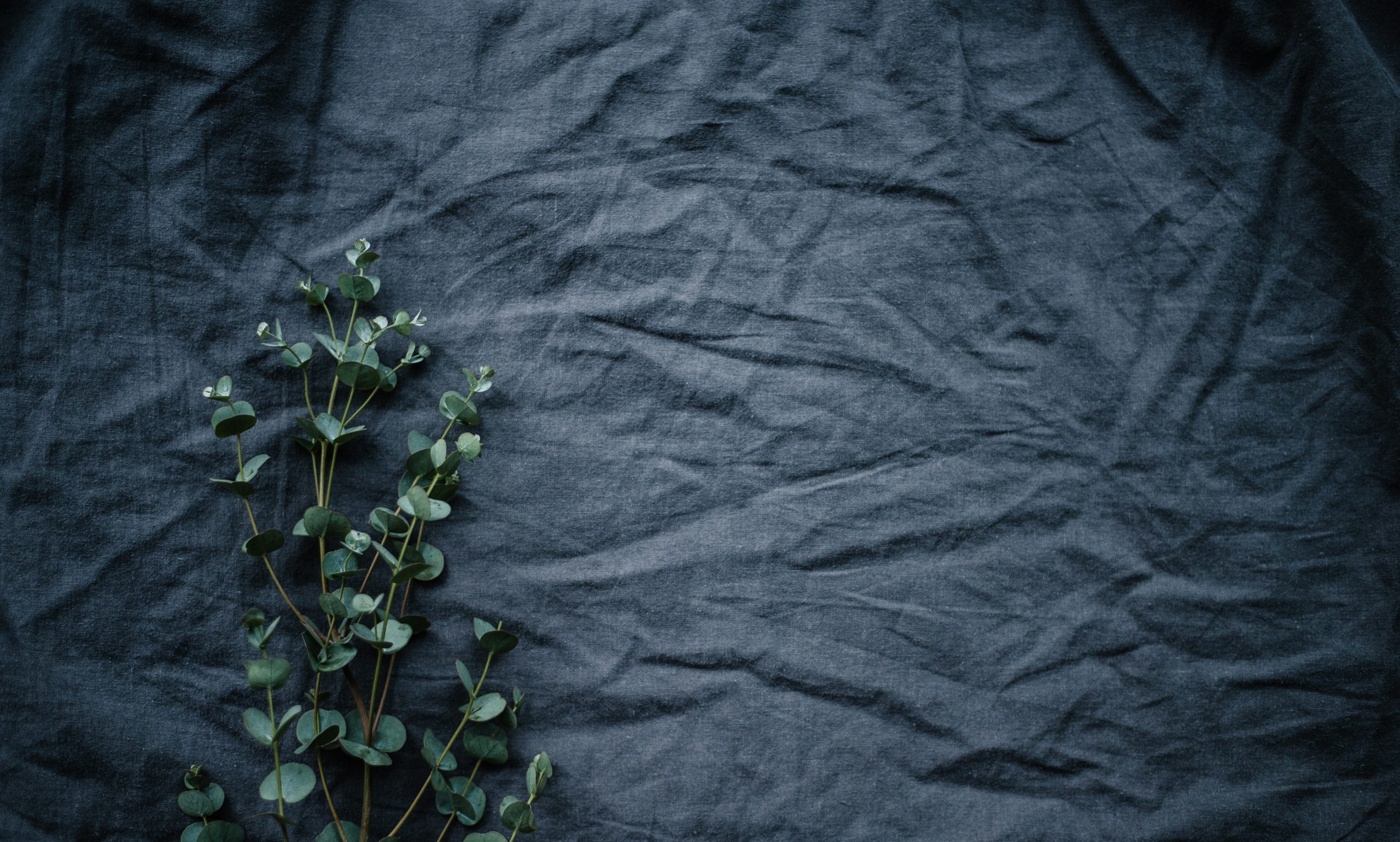 Why choose organic cotton canvas fabric for your next craft?