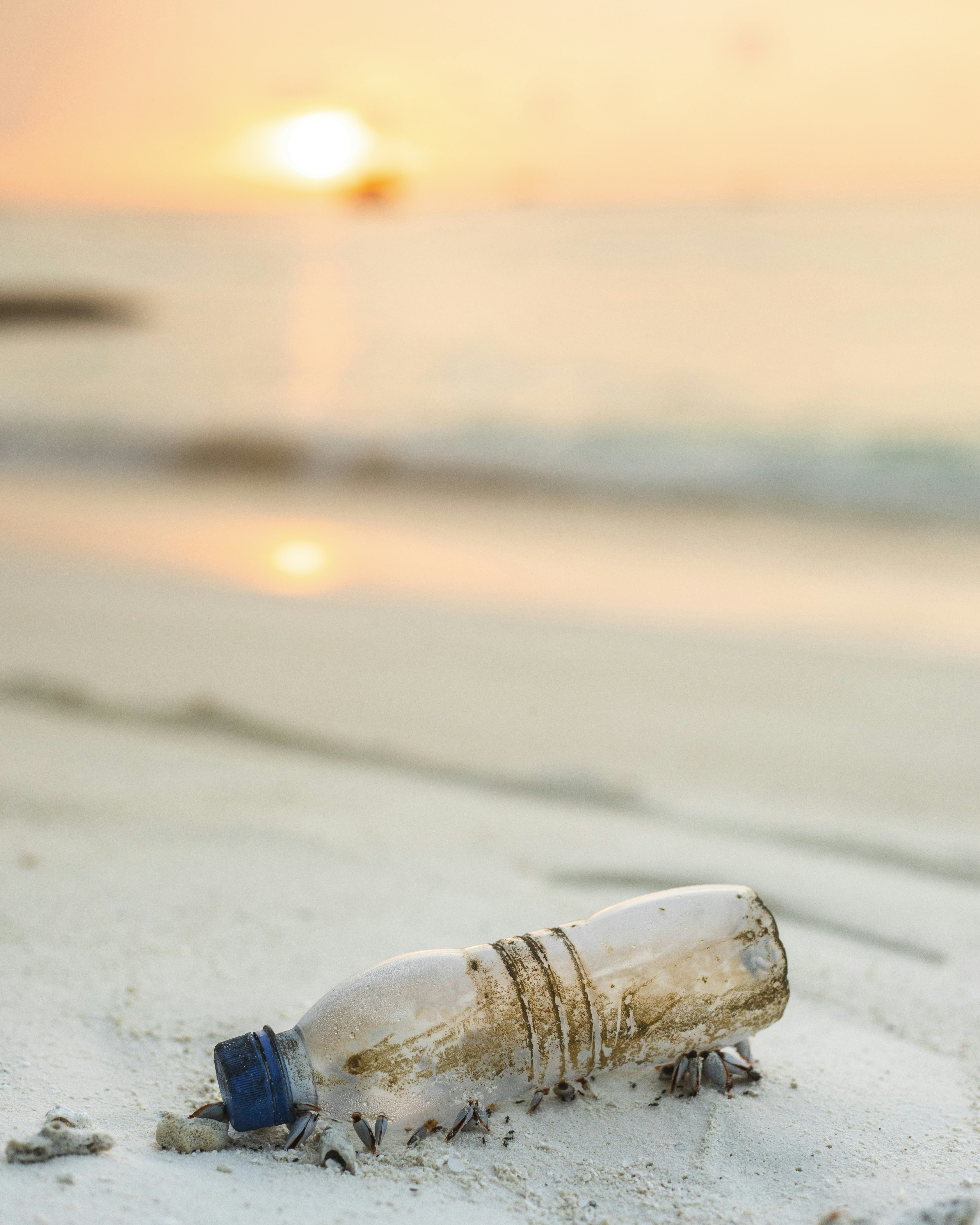 glass jar