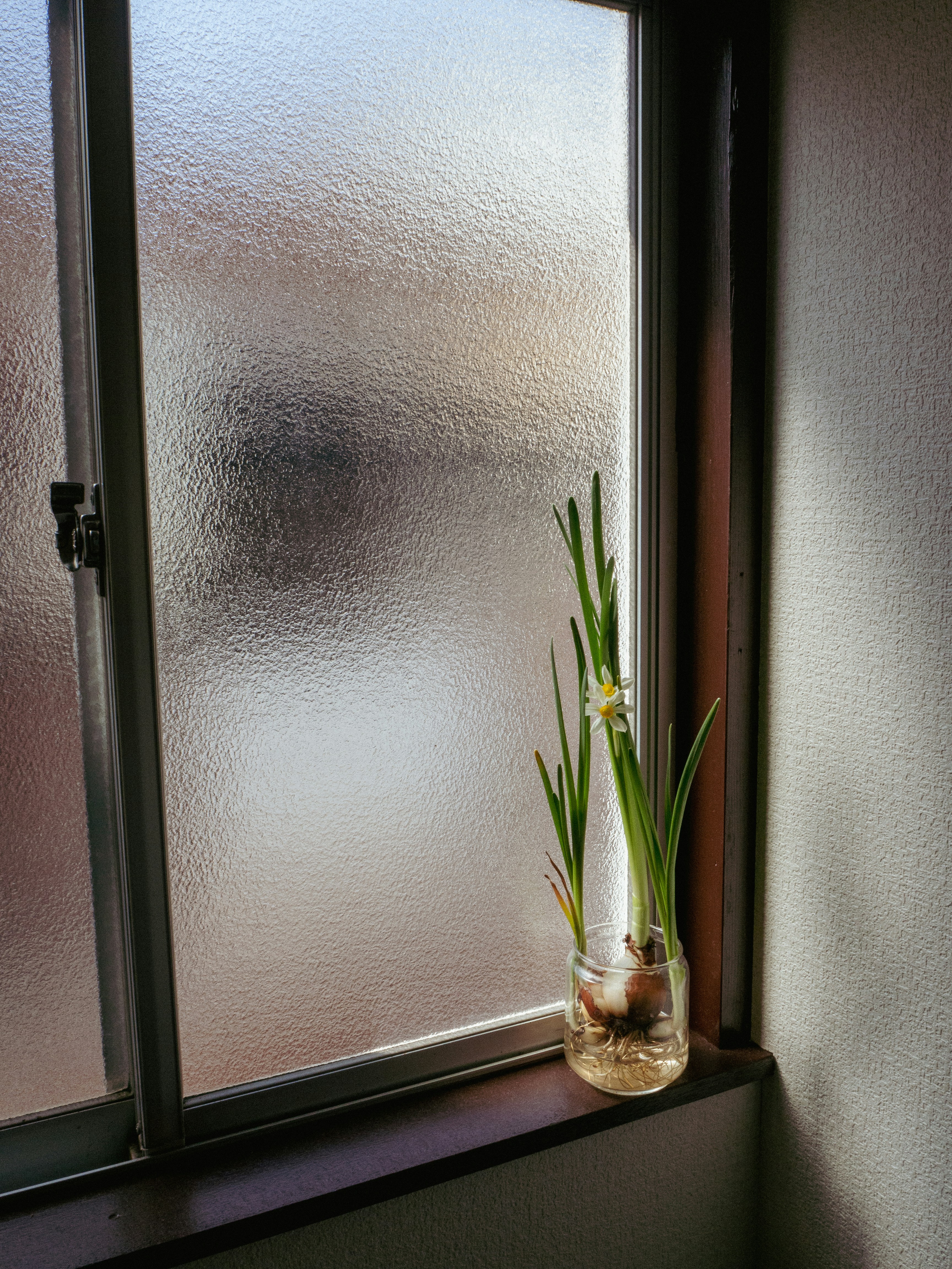 best shower doors