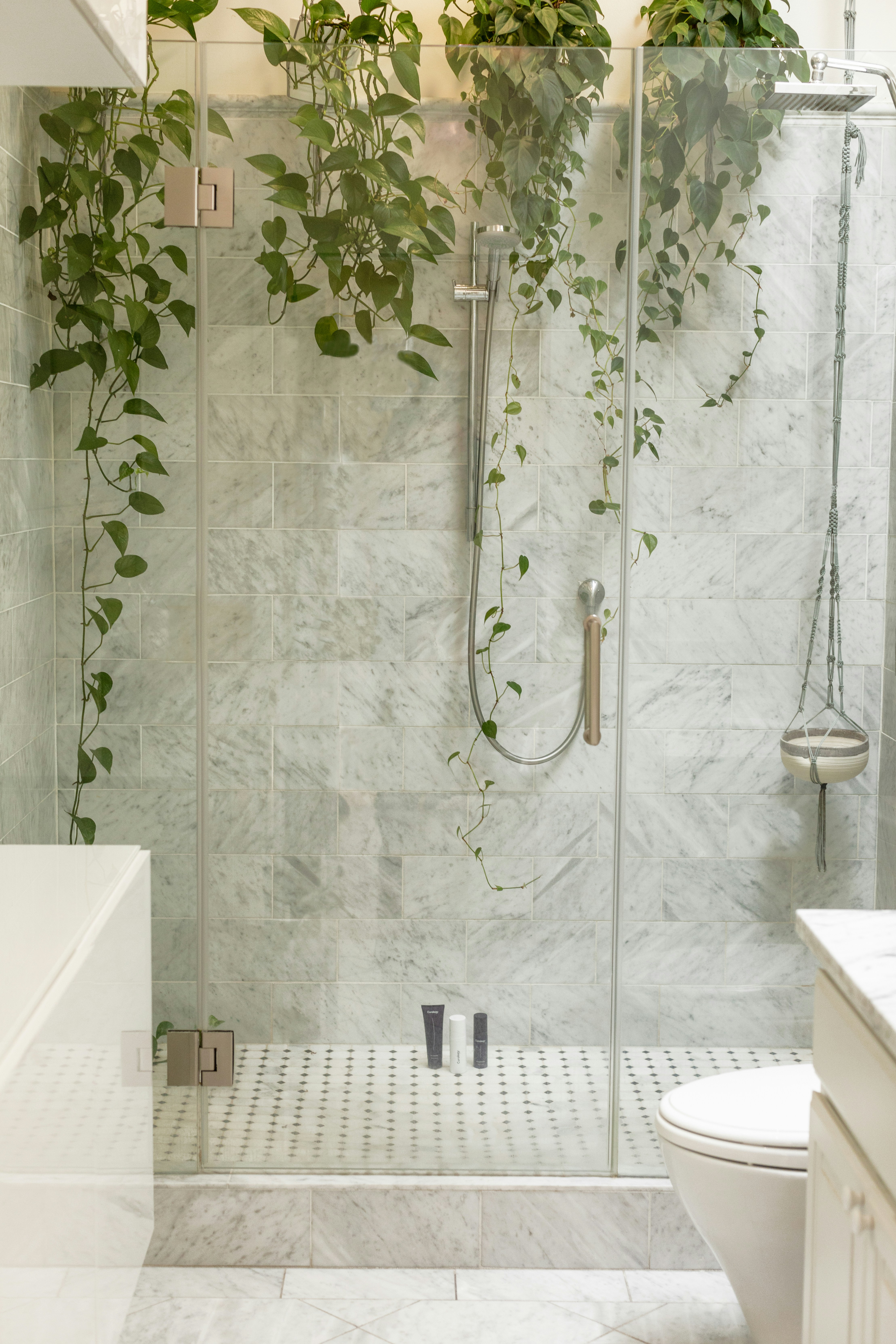 bath tub grab bars